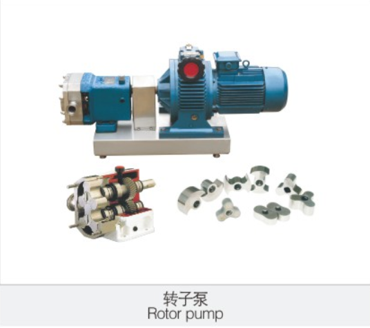 轉(zhuan)子泵